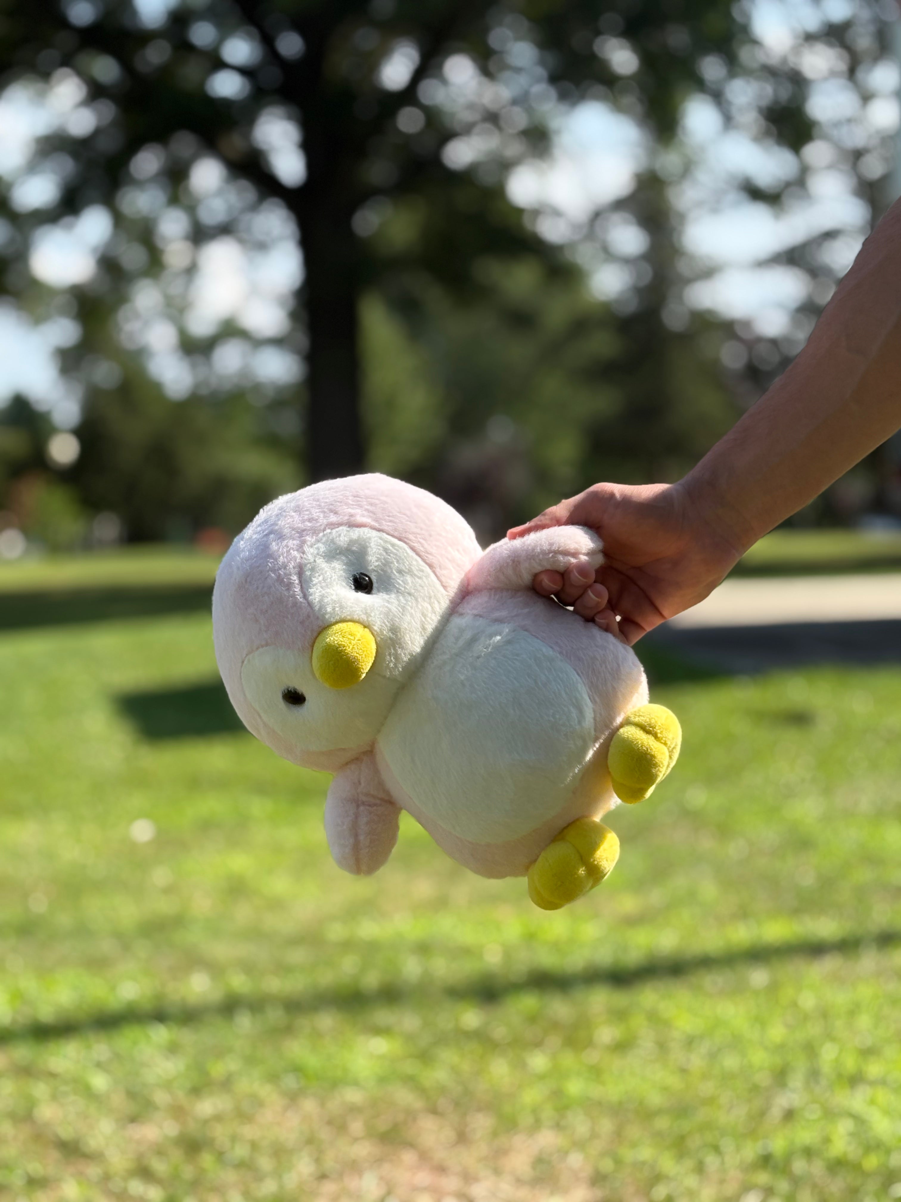 Puddles the Pink Penguin